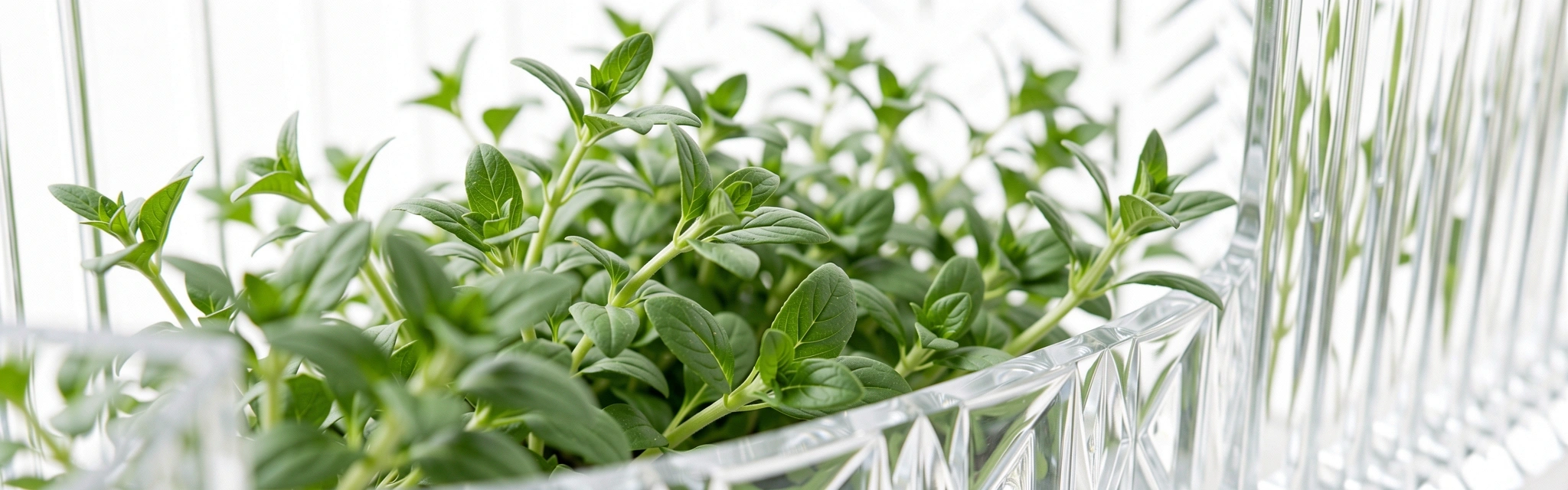 Egészség és transzparencia